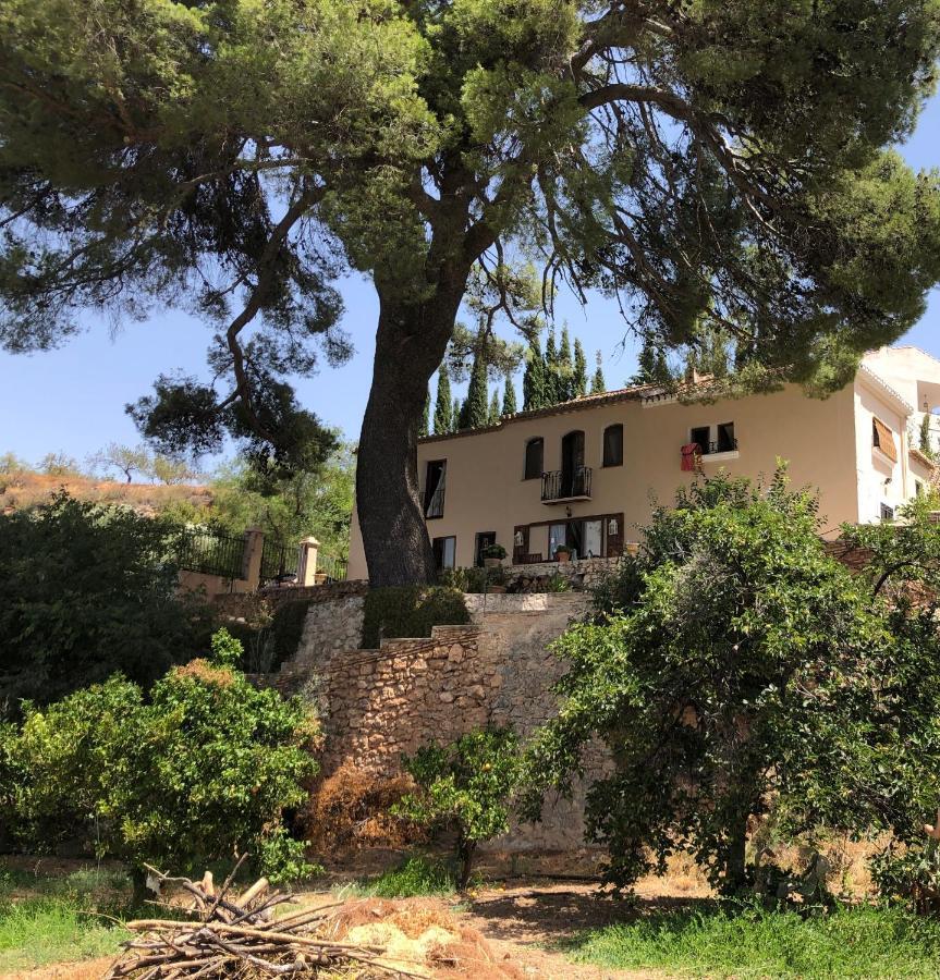 Bed and Breakfast Cortijo El Pino Retreat Альбуньюэлас Экстерьер фото