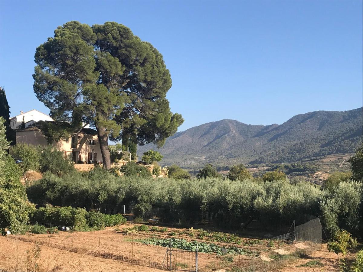 Bed and Breakfast Cortijo El Pino Retreat Альбуньюэлас Экстерьер фото