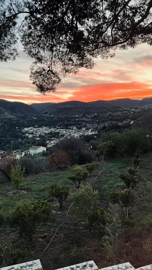 Bed and Breakfast Cortijo El Pino Retreat Альбуньюэлас Экстерьер фото