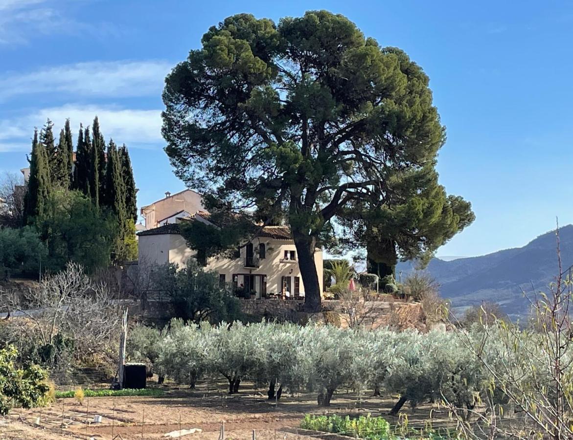 Bed and Breakfast Cortijo El Pino Retreat Альбуньюэлас Экстерьер фото