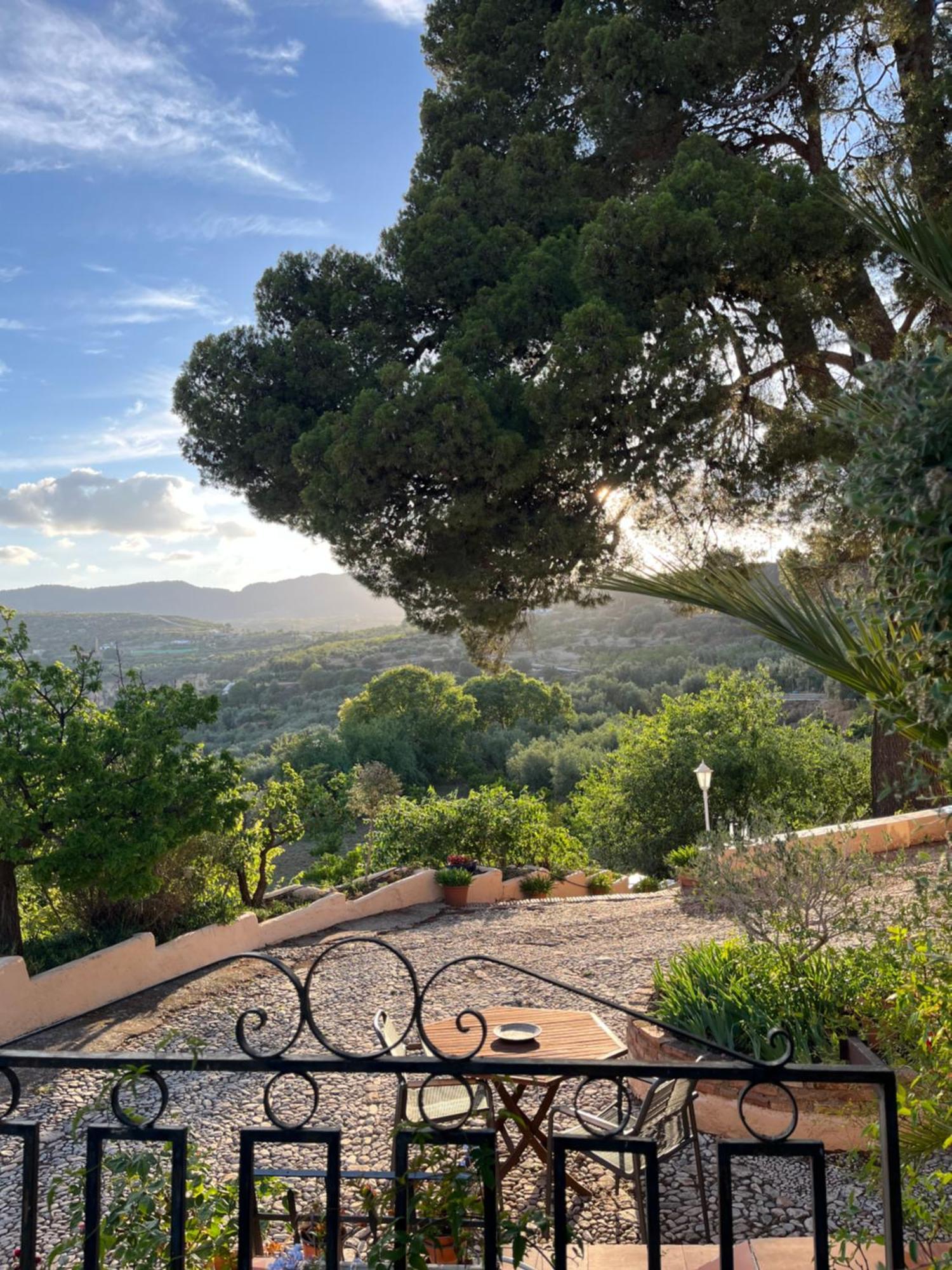 Bed and Breakfast Cortijo El Pino Retreat Альбуньюэлас Экстерьер фото