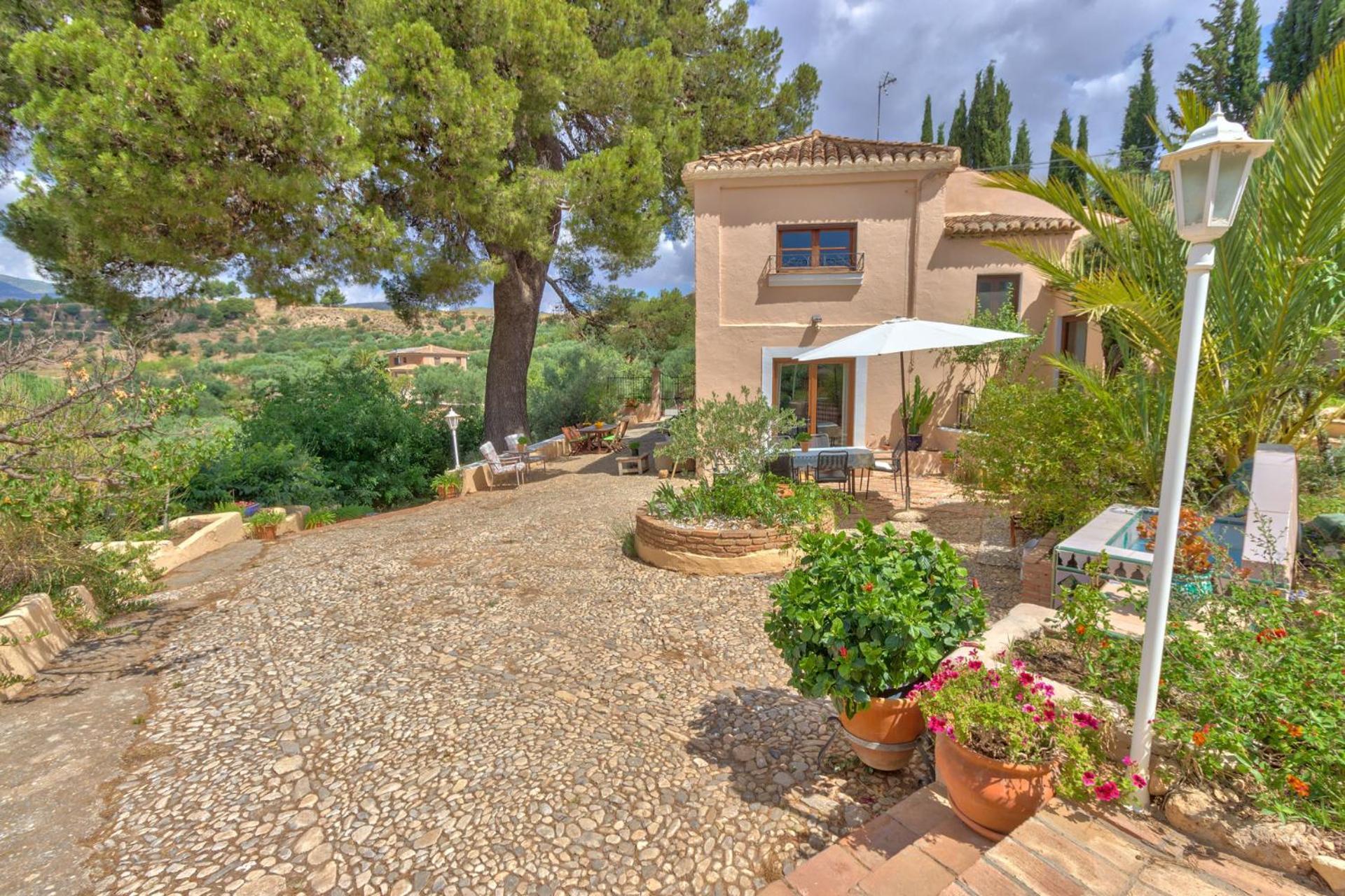 Bed and Breakfast Cortijo El Pino Retreat Альбуньюэлас Экстерьер фото